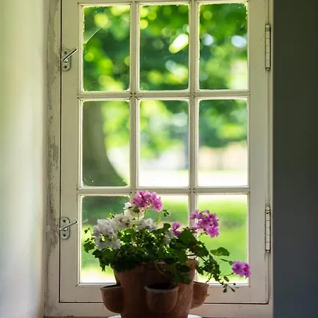 Pet Friendly, Spacious On The Courtomer Estate, Normandy *