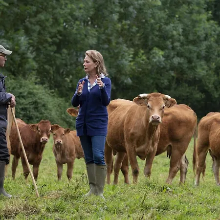 Pet Friendly, Spacious On The Courtomer Estate, Normandy *