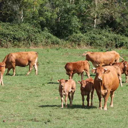 Pet Friendly, Spacious On The Courtomer Estate, Normandy *