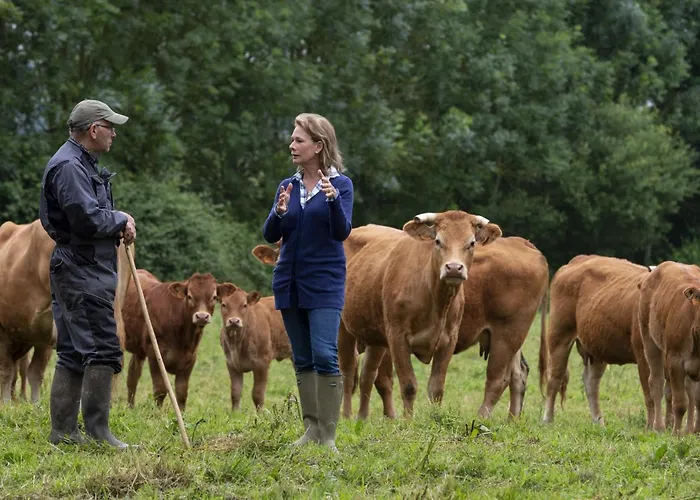 Pet Friendly, Spacious On The Courtomer Estate, Normandy *